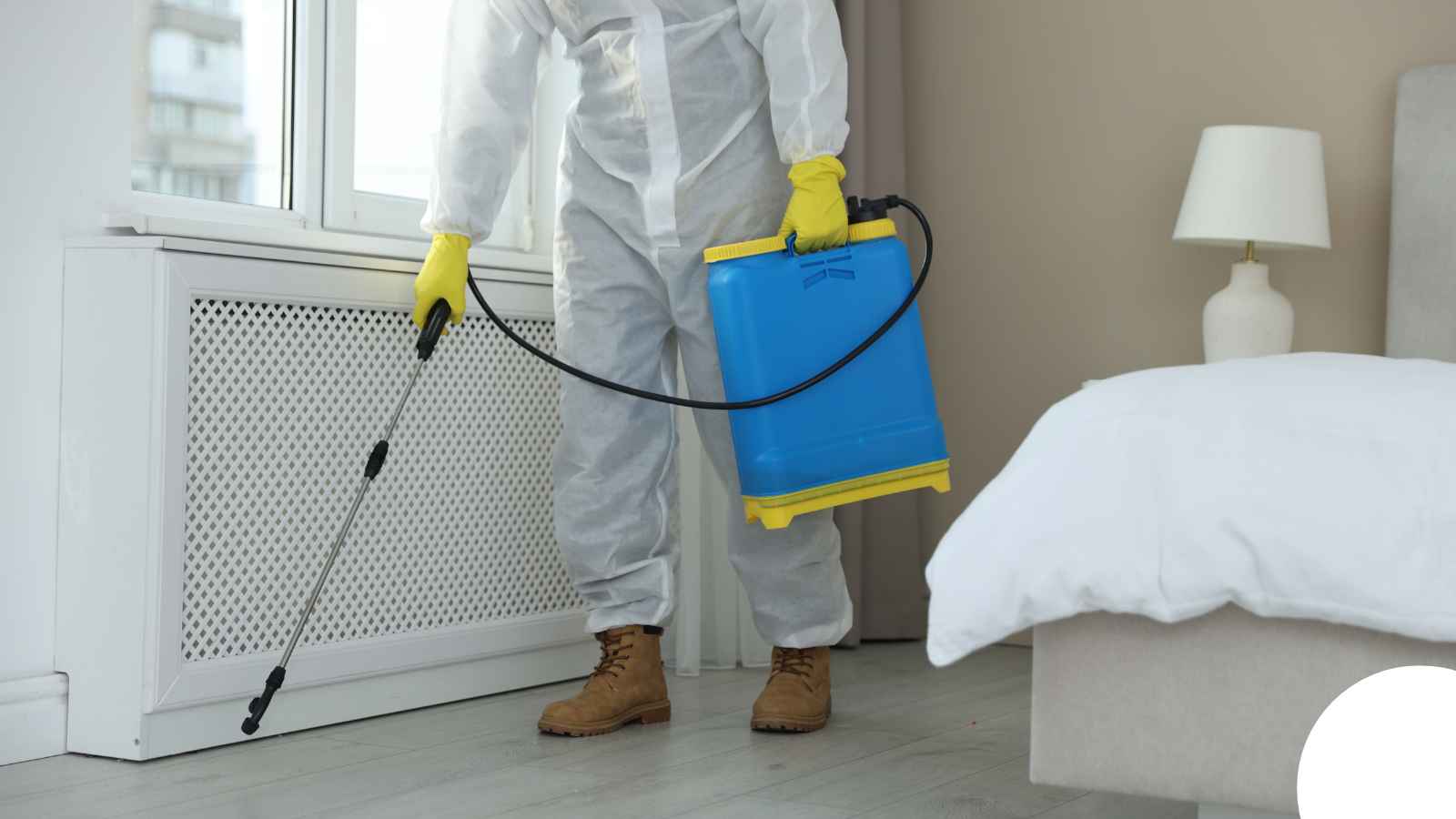 Biohazard Cleanup in Riverside, CA — Riverside Hoarding Cleanup
